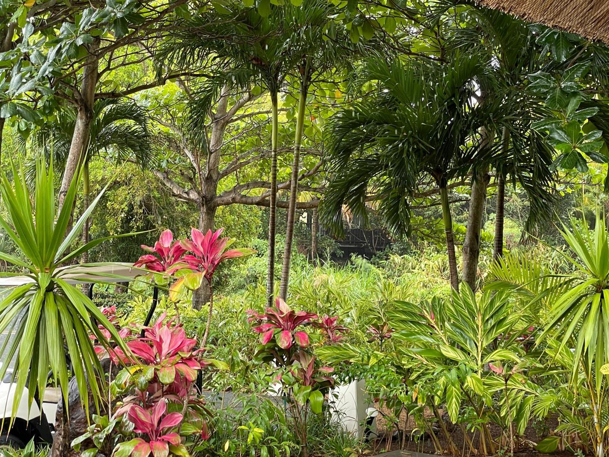 Villa Serenite Bel Ombre Exterior foto