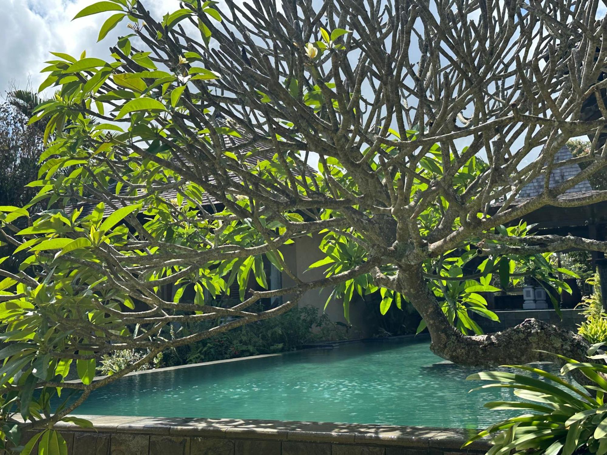 Villa Serenite Bel Ombre Exterior foto